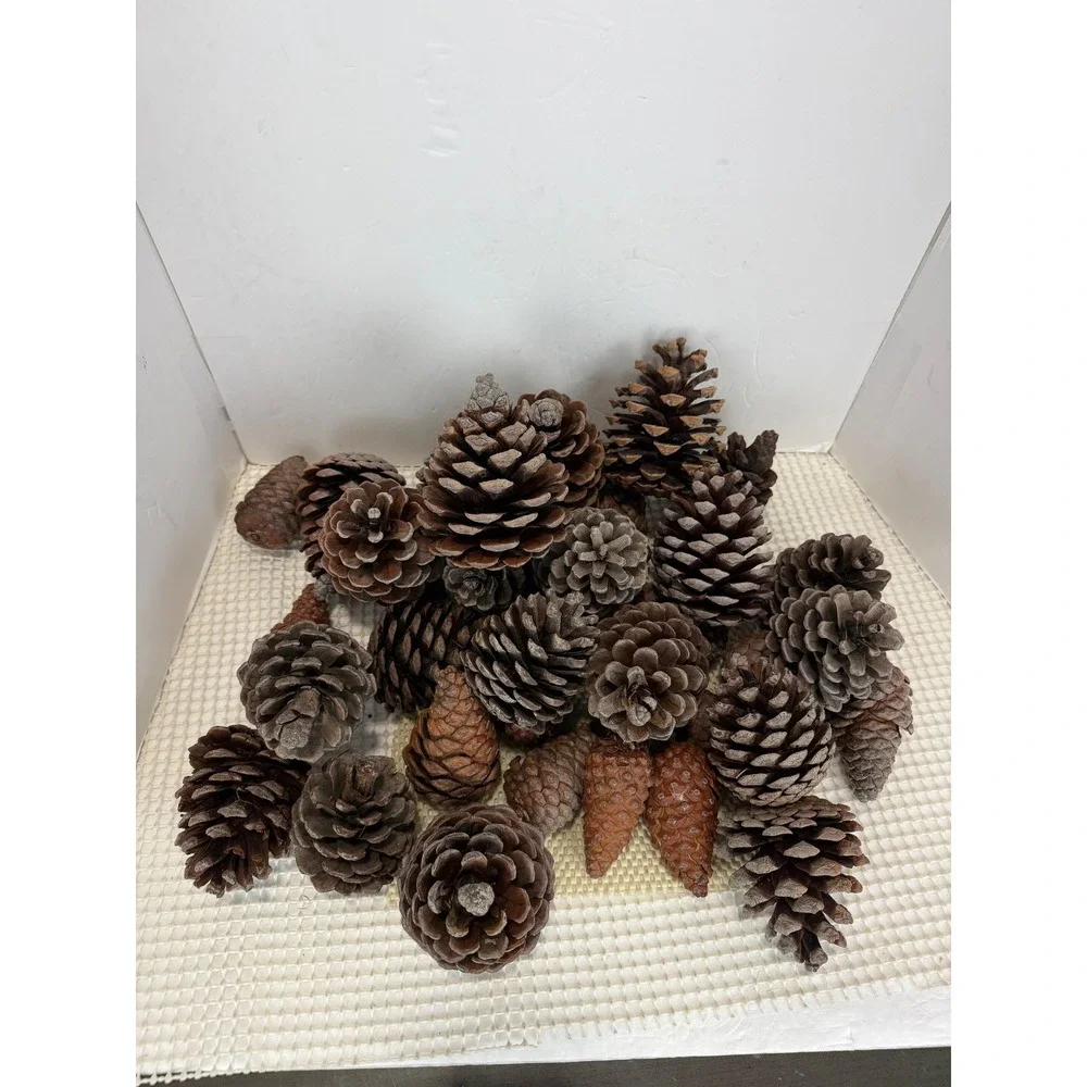 Natural PineCones Bulk Assortment Crafts Holiday Decor Centerpiece‎ 40pcs EUC